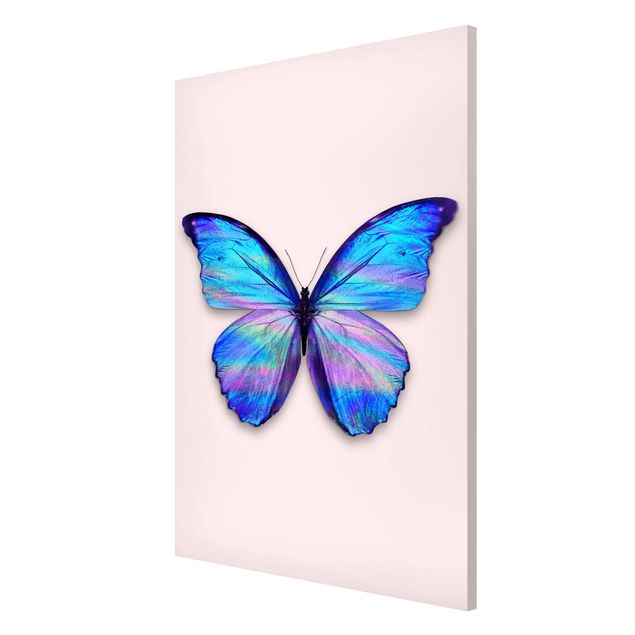 Magnettafel weiß Holografischer Schmetterling