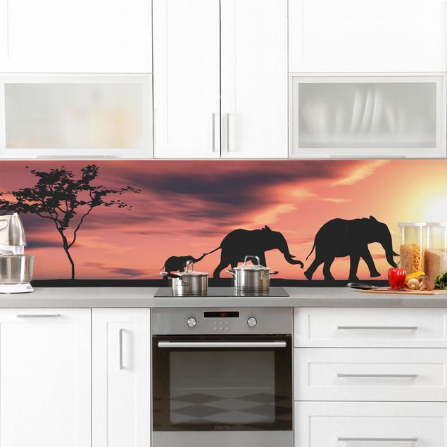 Küchenrückwand Tiere Savannah Elefant