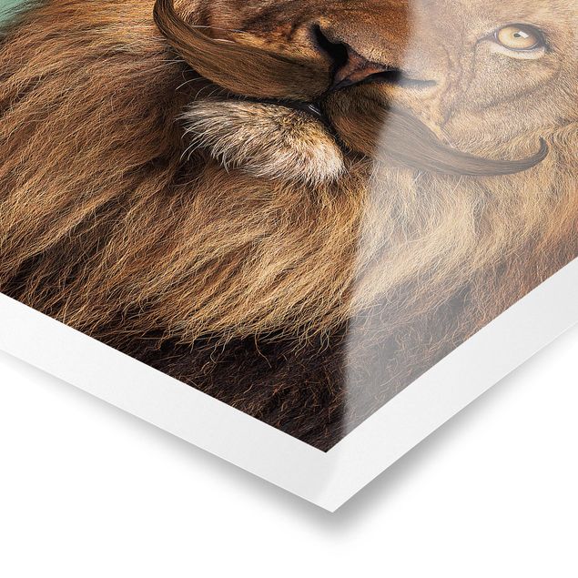 Poster kaufen Löwe mit Bart