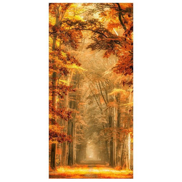 Raumteiler - Märchenwald Im Herbst 250x120cm