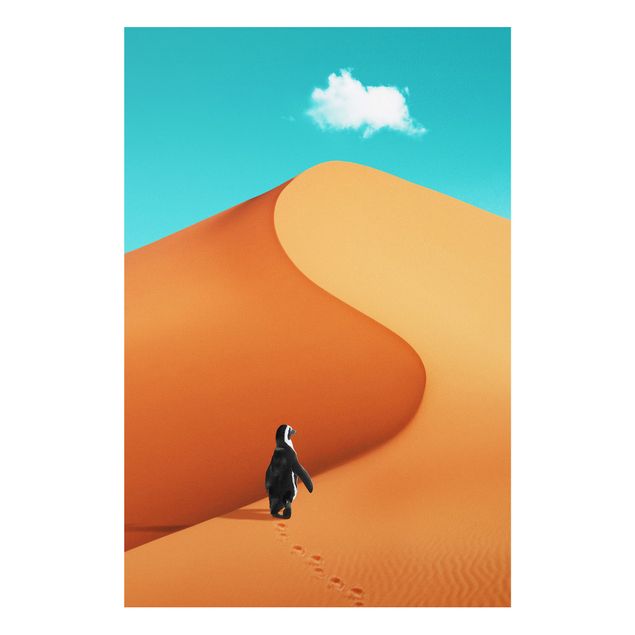 Foto auf Hartschaumplatte Wüste mit Pinguin
