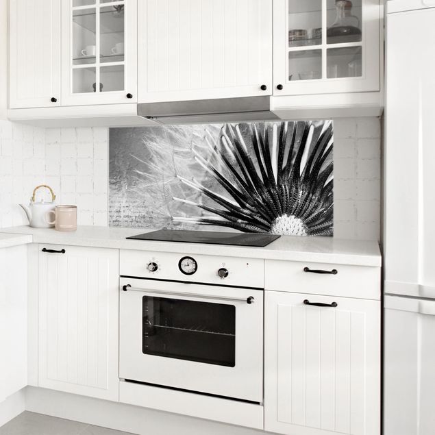 Küchenrückwand Glas Motiv Blumen Pusteblume Schwarz & Weiß