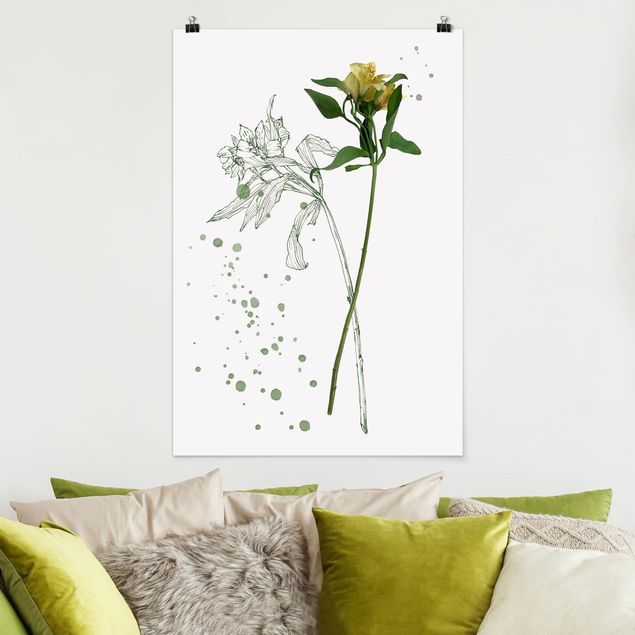 Kunstdrucke Poster Botanisches Aquarell - Lilie
