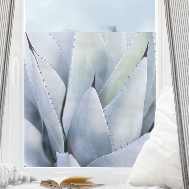 Fensterbilder selbstklebend Blumen Agavenblätter