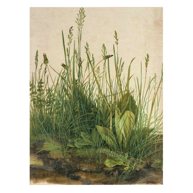 Wandbilder Vintage Albrecht Dürer - Das große Rasenstück