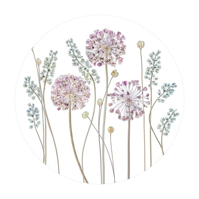 Teppich Natur Allium Illustration