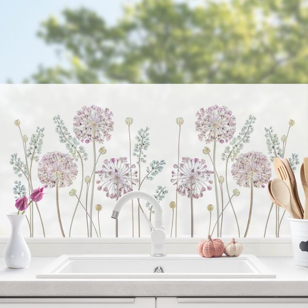Fensterbilder selbstklebend Blumen Allium Illustration