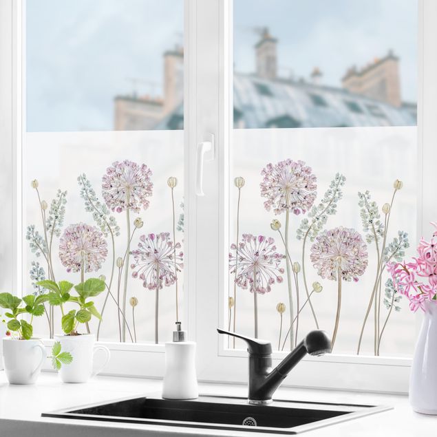 XXL Fensterbilder Allium Illustration