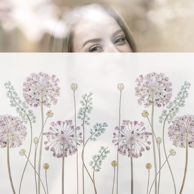 Fensterfolien Allium Illustration