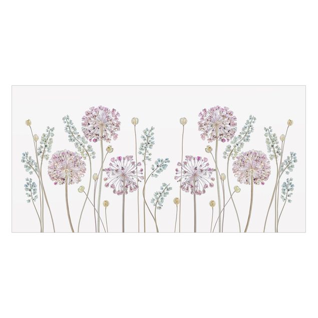 Fensterbilder selbstklebend Allium Illustration