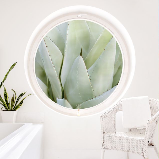 Fensterfolie Wohnzimmer Aloe