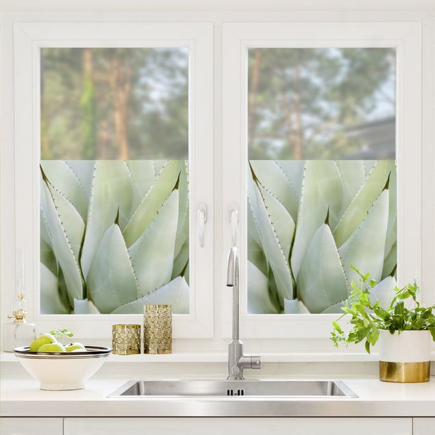 Fensterfolie Grün Aloe