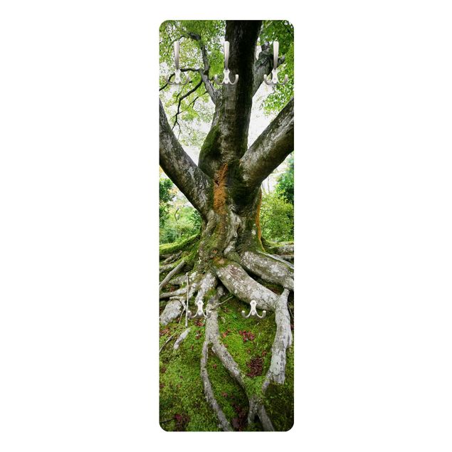 Garderobe - Alter Baum - Grün