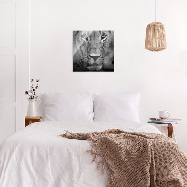 Glasbilder Schwarz-Weiß Alter Löwe