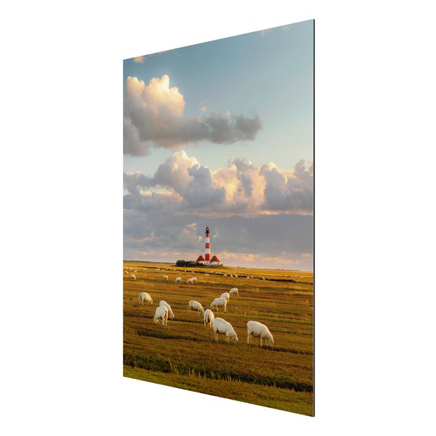 Alu Dibond Bilder Nordsee Leuchtturm mit Schafsherde
