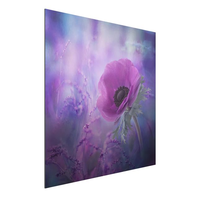 Schöne Wandbilder Anemonenblüte in Violett