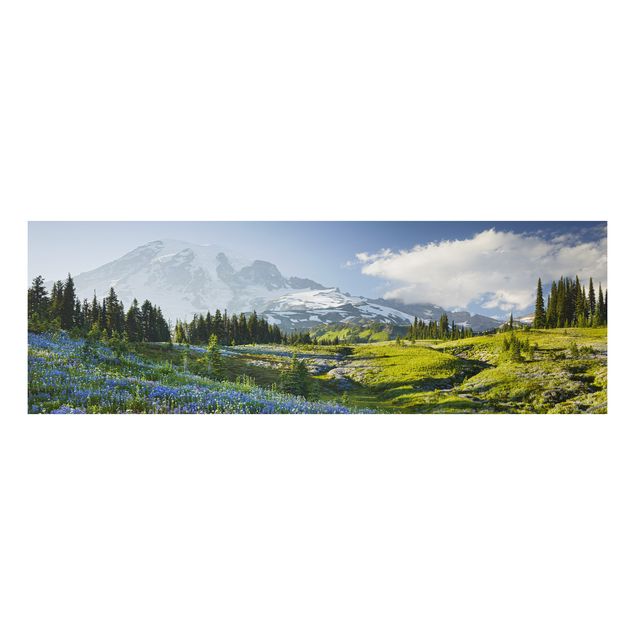 Alu Dibond Bilder Bergwiese mit blauen Blumen vor Mt. Rainier