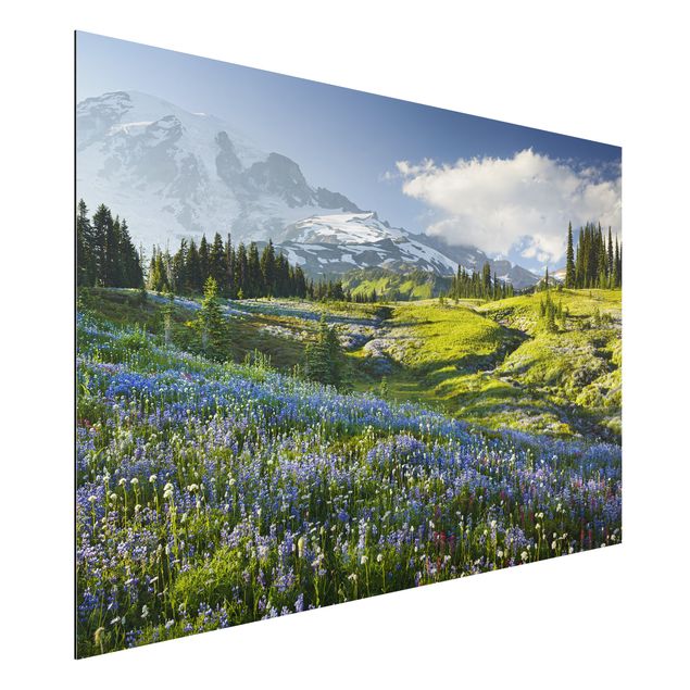 Wandbilder Bergwiese mit blauen Blumen vor Mt. Rainier