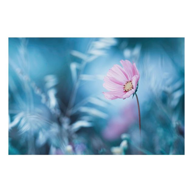 Alu Dibond Bilder Blüte in Pastell