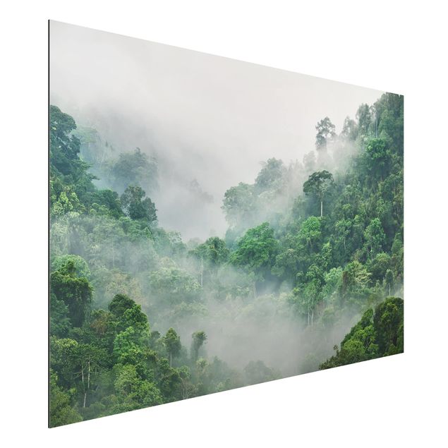 Schöne Wandbilder Dschungel im Nebel
