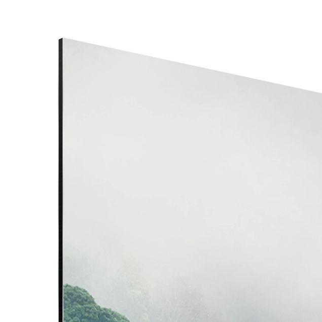 Alu-Dibond Bild - Dschungel im Nebel