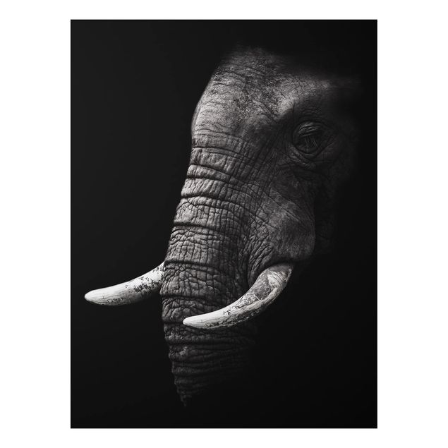 Wandbilder Tiere Dunkles Elefanten Portrait