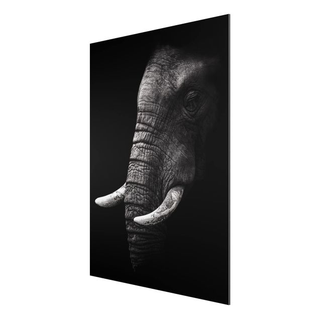 Alu Dibond Bilder Dunkles Elefanten Portrait