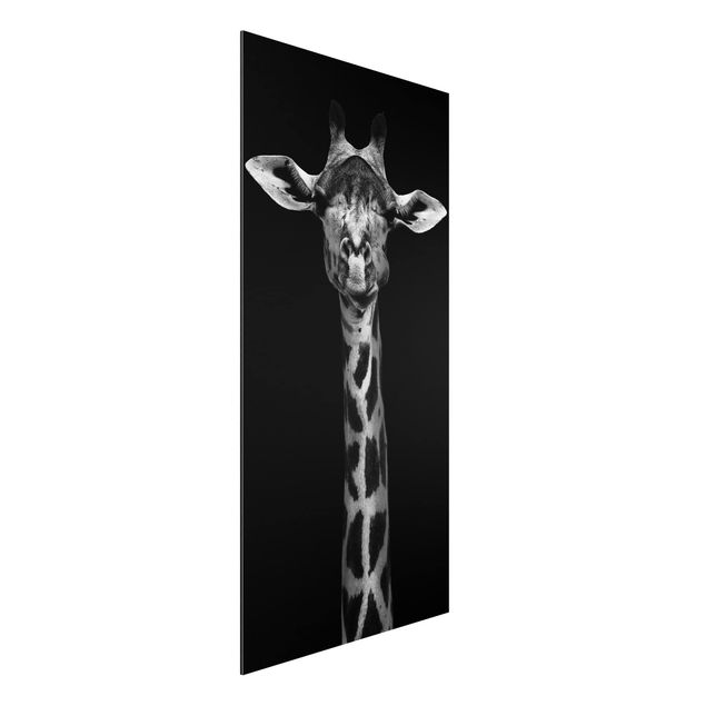 Bilder für die Wand Dunkles Giraffen Portrait