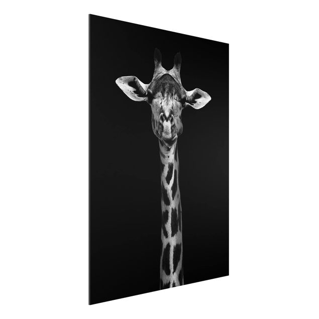 Schöne Wandbilder Dunkles Giraffen Portrait