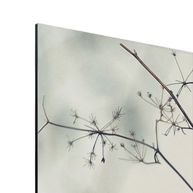 Aluminium Print - Eule im Winter - Panorama