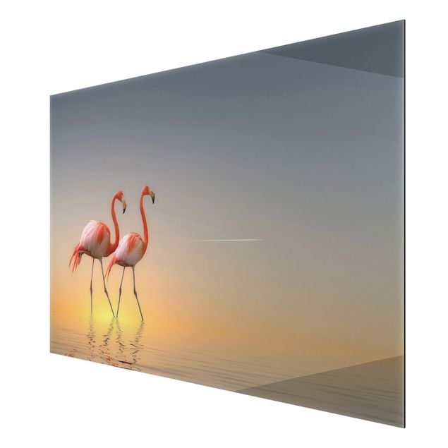 Alu Dibond Druck Flamingo Love