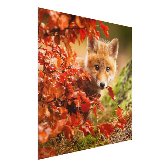 Wandbilder Tiere Fuchs im Herbst
