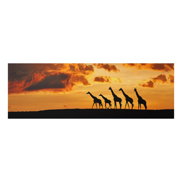 Schöne Wandbilder Fünf Giraffen