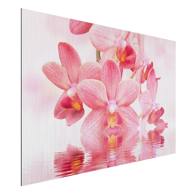 Schöne Wandbilder Rosa Orchideen auf Wasser
