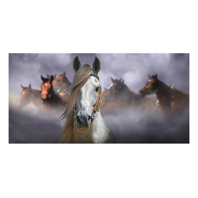 Bilder für die Wand Horses in the Dust