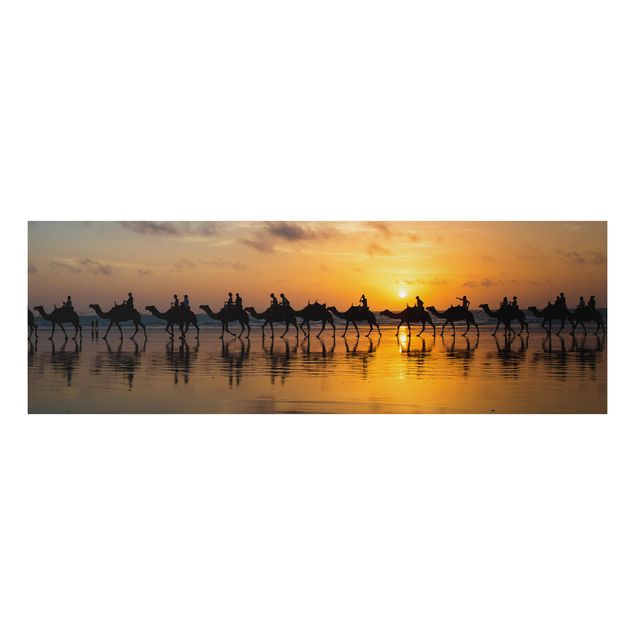 Bilder für die Wand Kamele im Sonnenuntergang