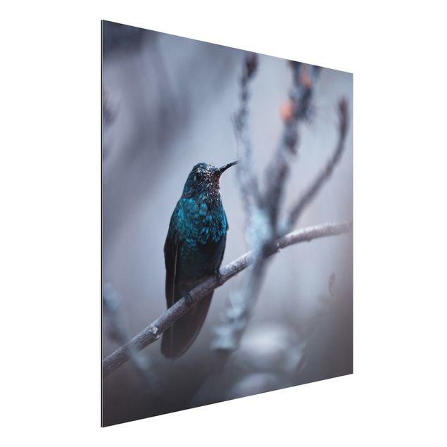 Wandbilder Tiere Kolibri im Winter