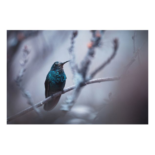 Schöne Wandbilder Kolibri im Winter