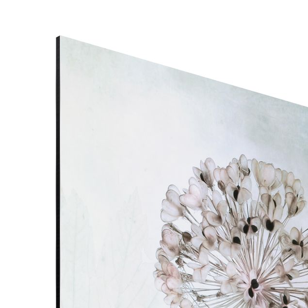 Aluminium Print - Lauchblüten in Pastell - Hochformat 3:2