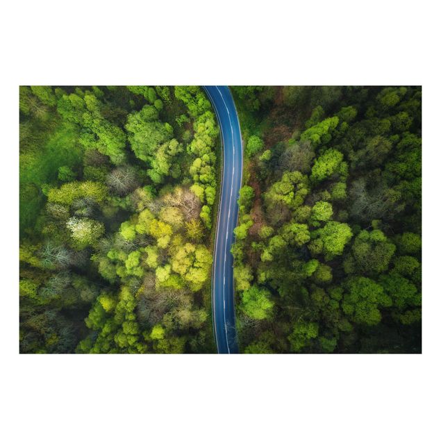 Bilder für die Wand Luftbild - Asphaltstraße im Wald