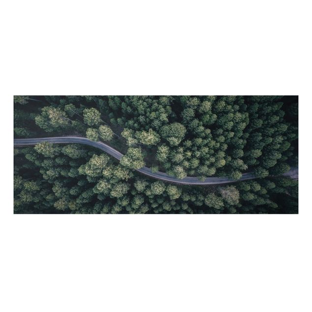 Wandbilder Luftbild - Waldstraße von Oben