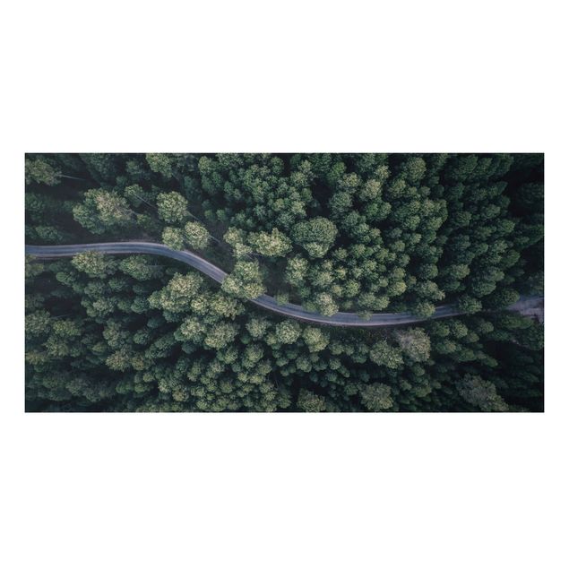 Schöne Wandbilder Luftbild - Waldstraße von Oben