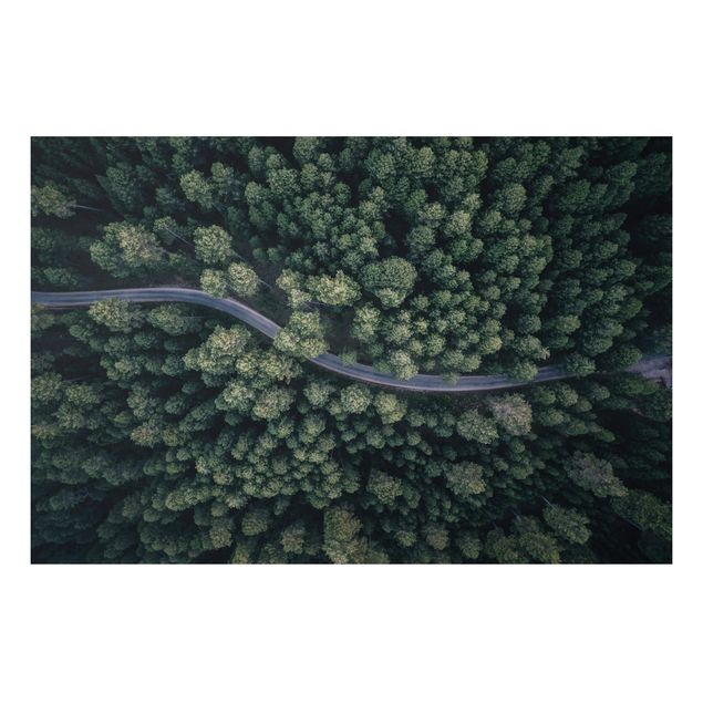 Schöne Wandbilder Luftbild - Waldstraße von Oben