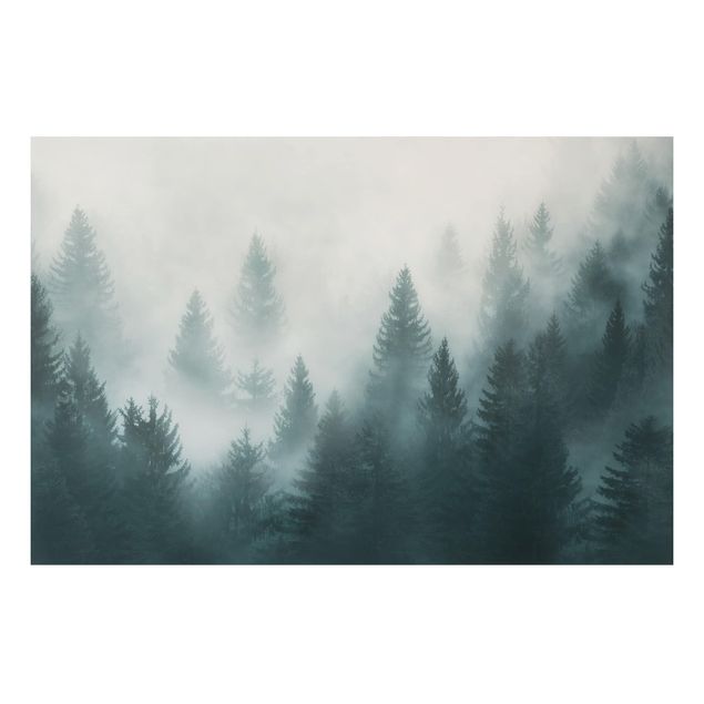 Alu Dibond Bilder Nadelwald im Nebel
