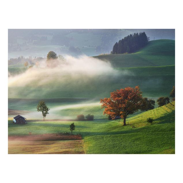Schöne Wandbilder Nebliger Herbsttag Schweiz
