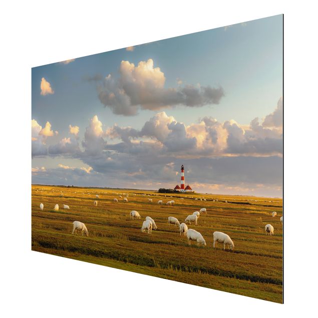 Alu Dibond Bilder Nordsee Leuchtturm mit Schafsherde