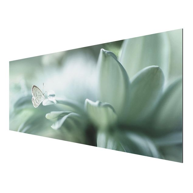 Foto auf Alu Dibond Schmetterling und Tautropfen in Pastellgrün