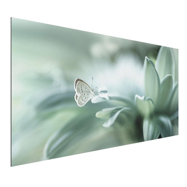 Bilder für die Wand Schmetterling und Tautropfen in Pastellgrün