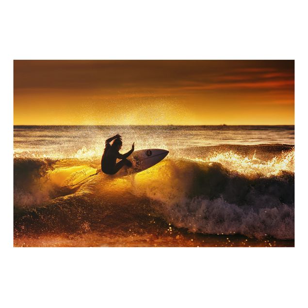 Alu Dibond Druck Sun, Fun and Surf