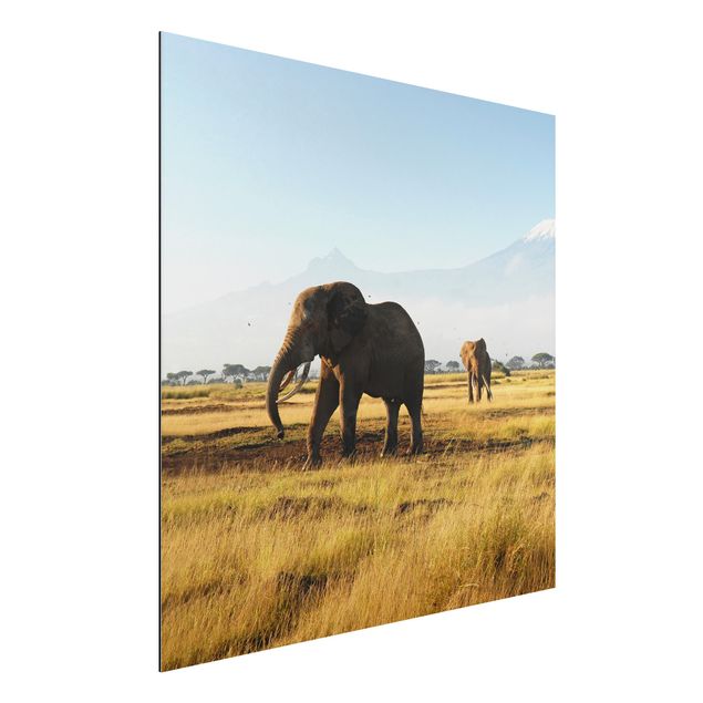 Wandbilder Tiere Elefanten vor dem Kilimanjaro in Kenia